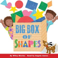 Big Box of Shapes by Blevins, Wiley